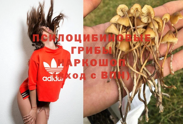 прущий лед Костерёво