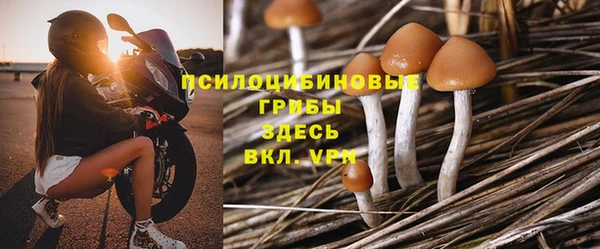 молекула духа Корсаков